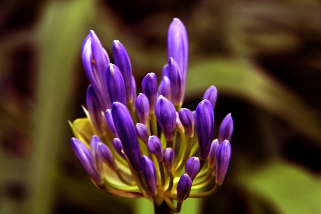 通过自己不 通过自己不