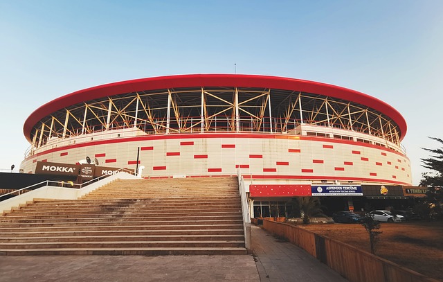 但球队渴望 但球队渴望